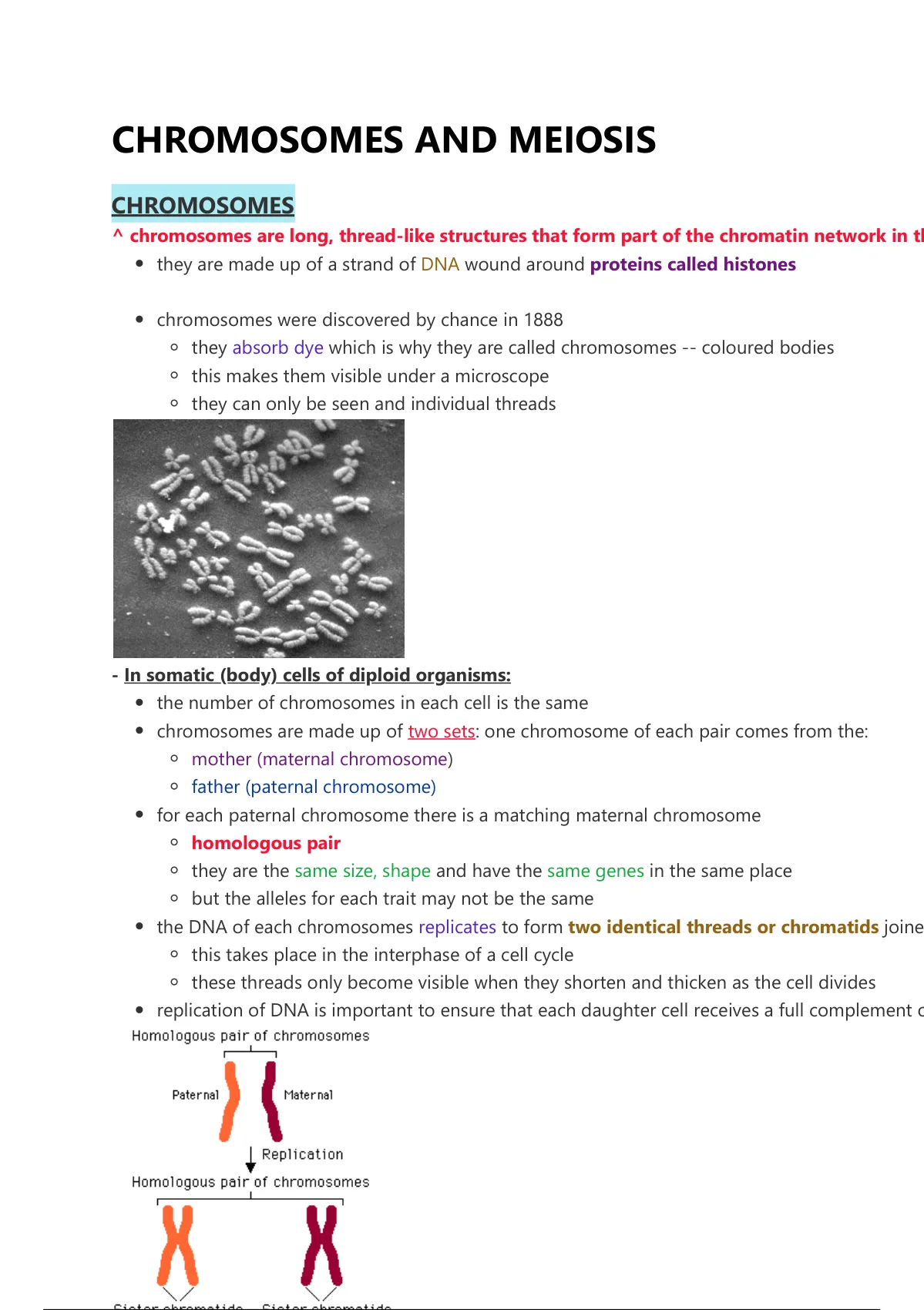 Summary Grade 12 IEB Chromosomes And Meiosis Life Sciences Stuvia UK