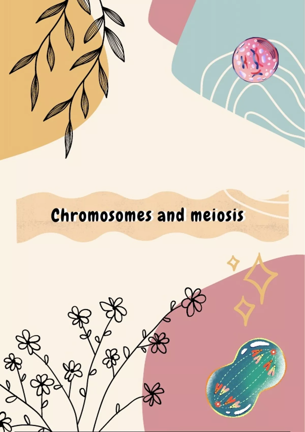 Grade 12 IEB Chromosomes And Meiosis Summary Life Sciences Stuvia SA