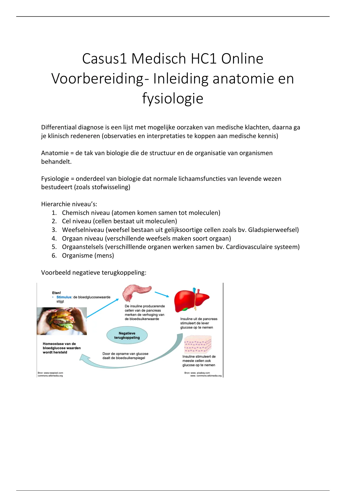 Samenvatting Anatomie Fysiologie Hoorcolleges Anatomie Fysiologie