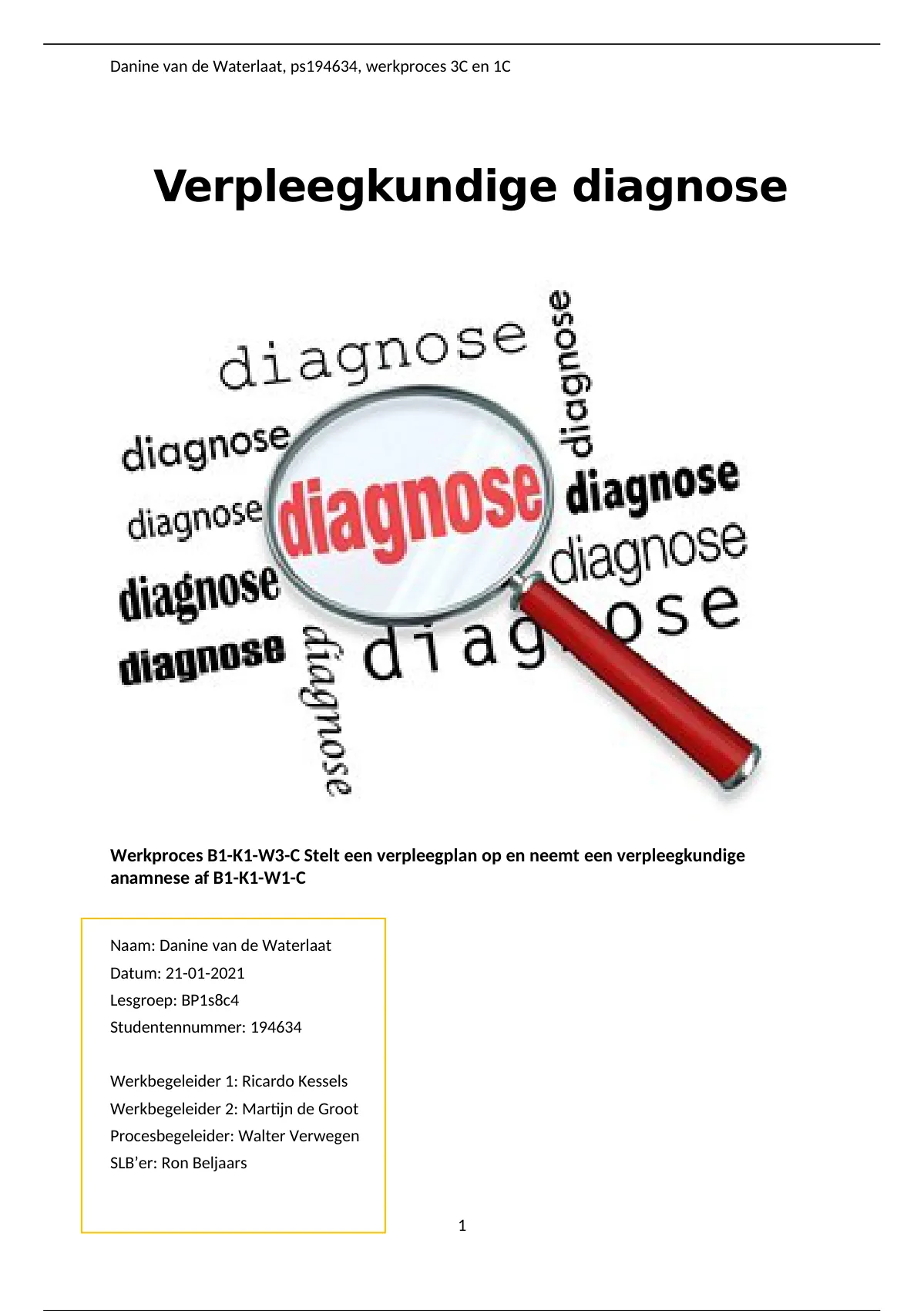 Samenvatting Werkproces 1cand3c Verpleegkundige Anamnese En Verpleegkundige Diagnose 7326