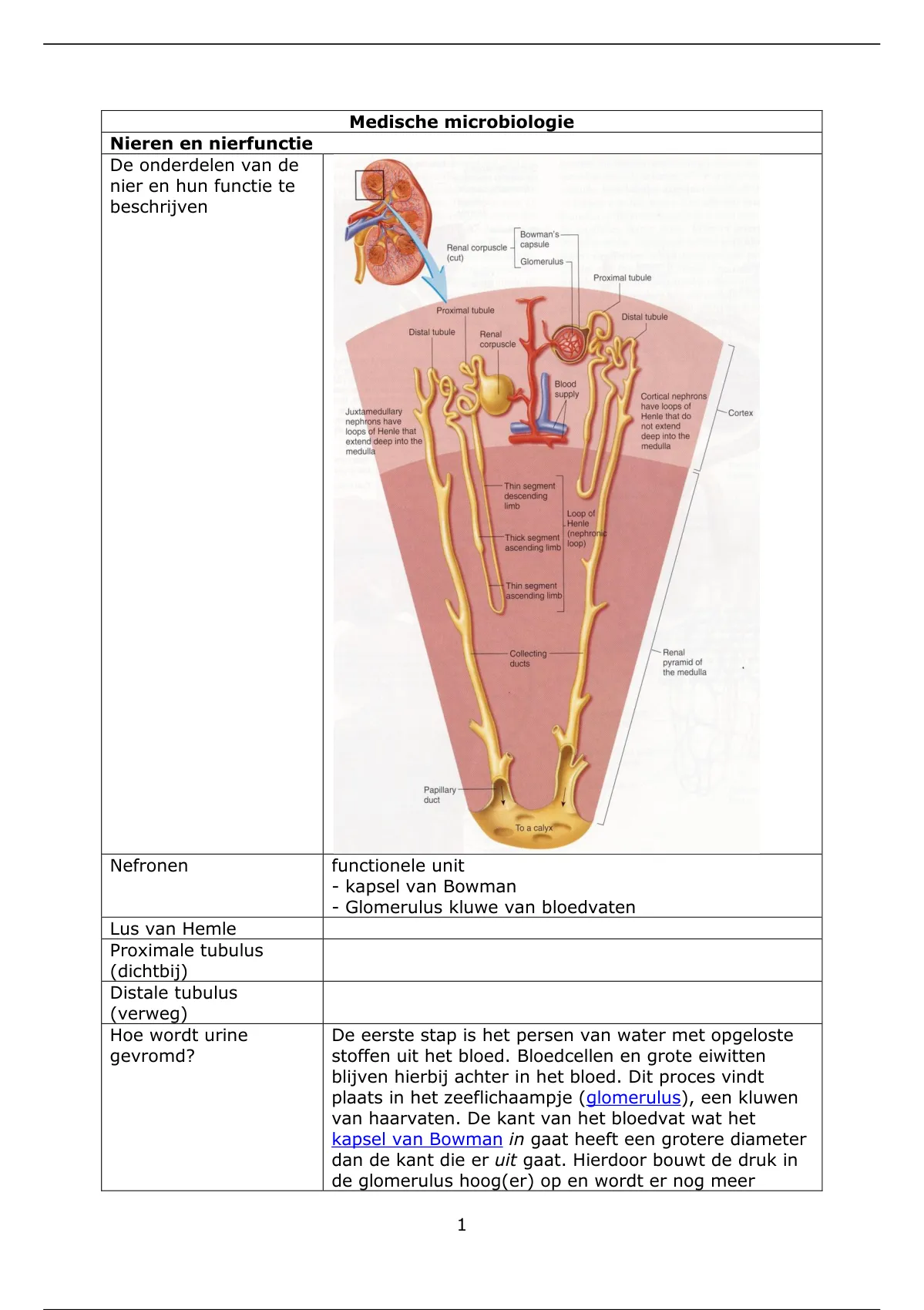 Samenvatting Medische Microbiologie Periode 4 (leerdoelen) - Medische ...