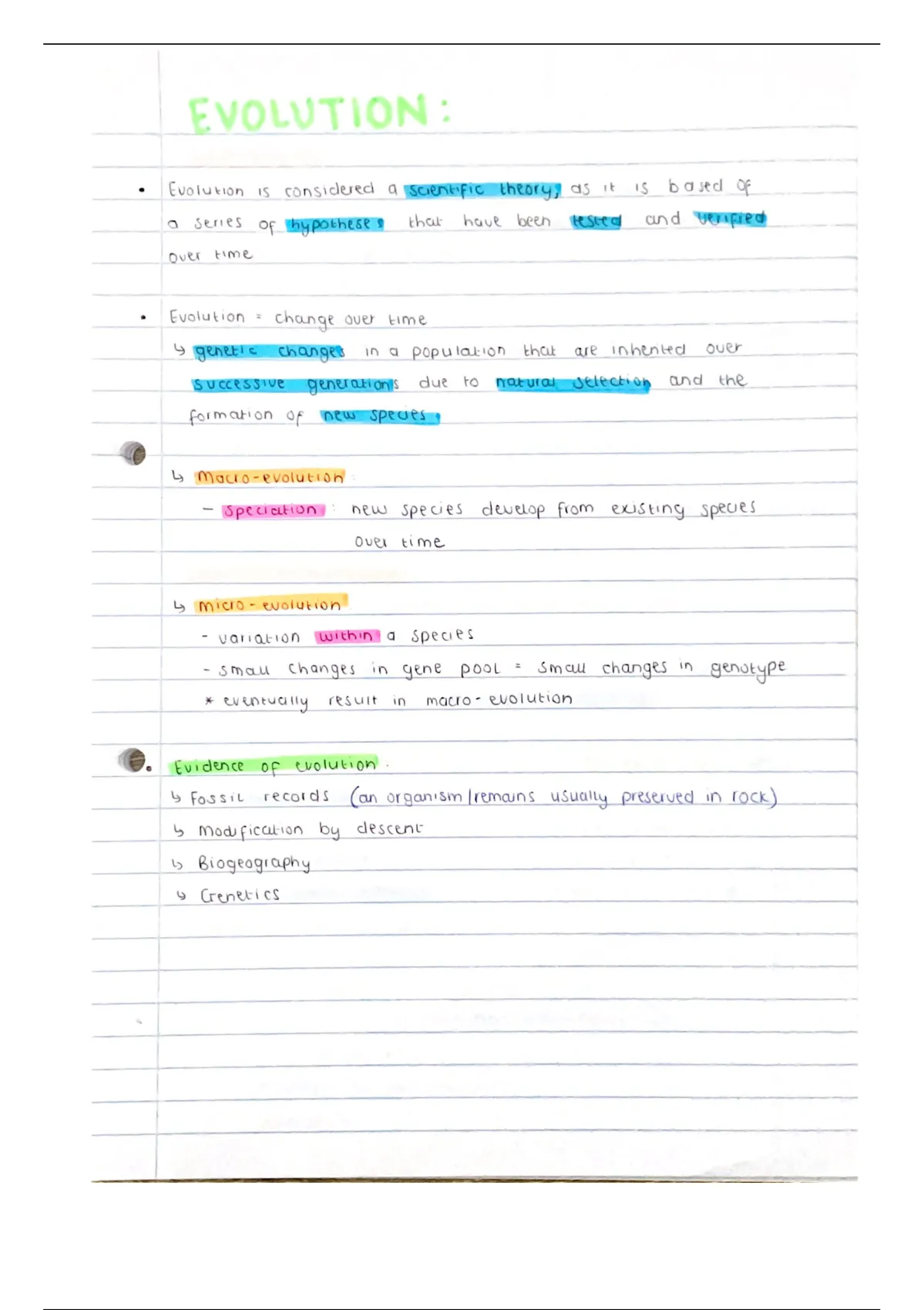 Summary EVOLUTION NOTES GRADE IEB Life Sciences Stuvia SA