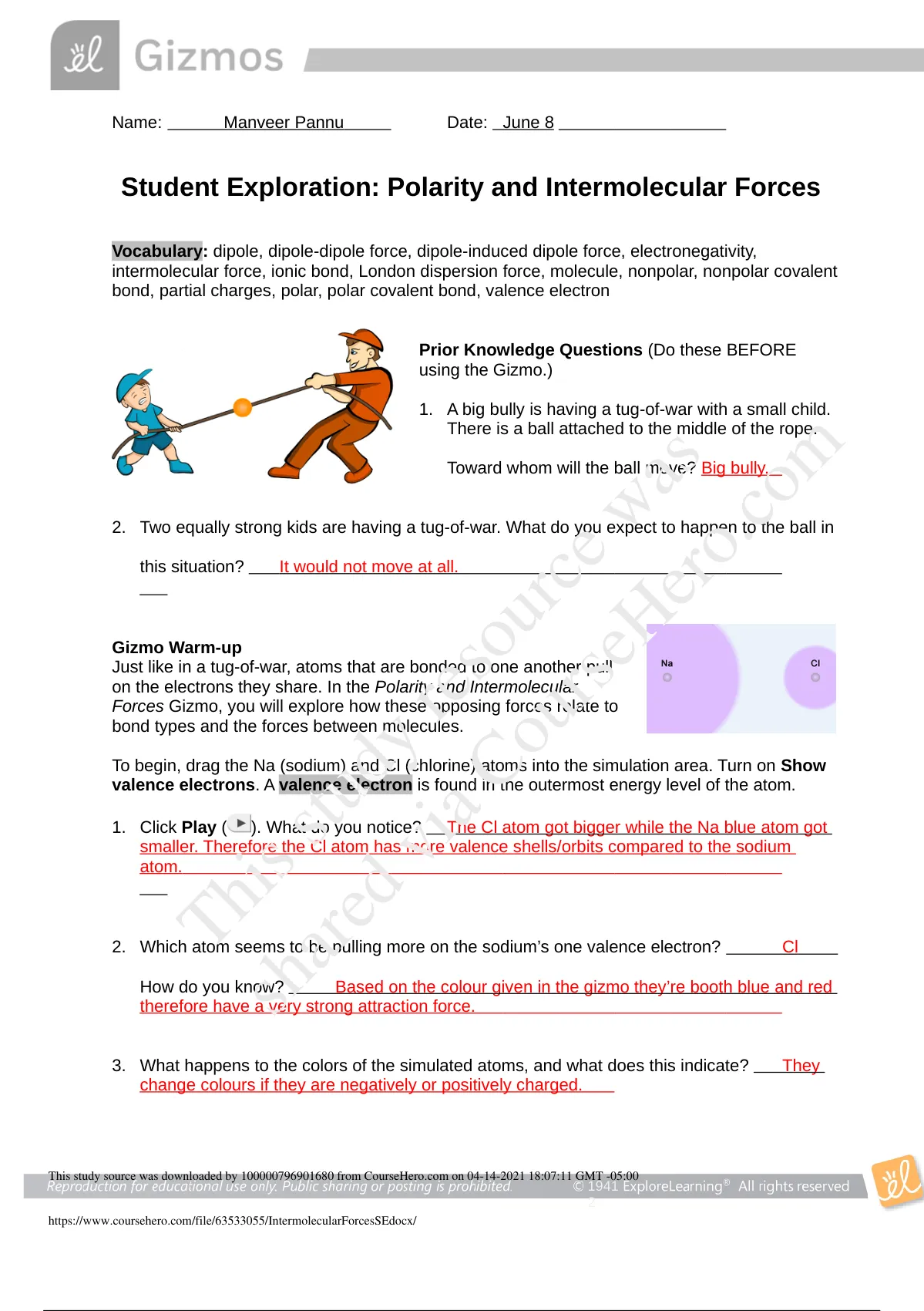 CHEMISTRY 101 Student Exploration: Hardy-Weinberg Equilibrium With ...