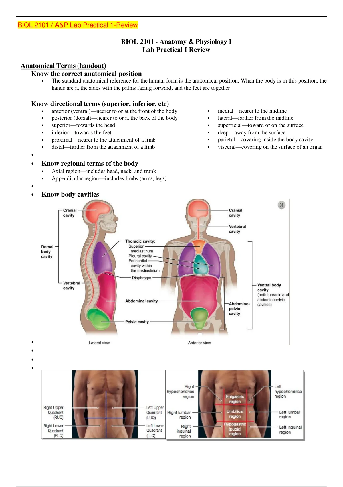 BIOL 2101 - Anatomy & Physiology I Lab Practical I Review Latest - BIOL ...