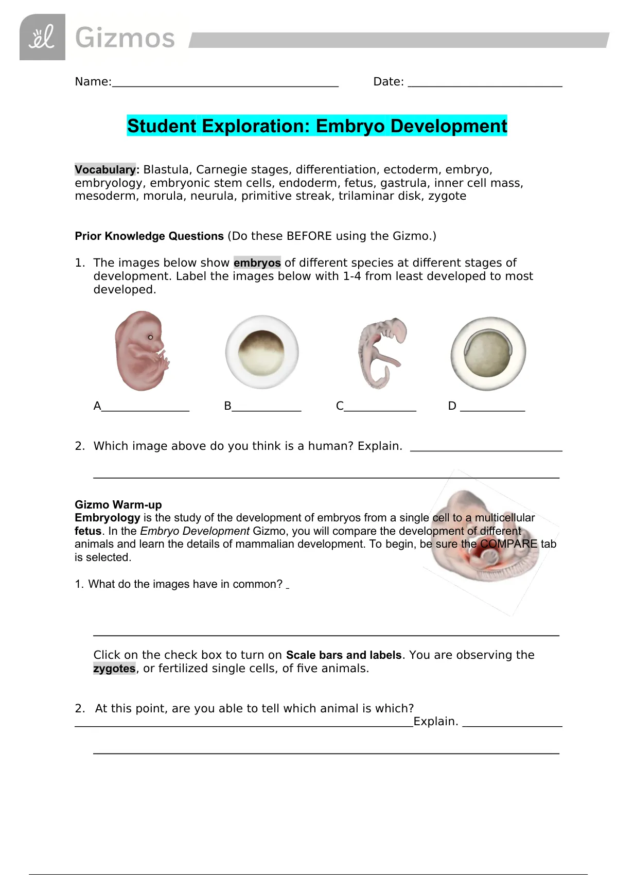 AP BIOLOGY Student Exploration Embryo Development Gizmo BIO 10