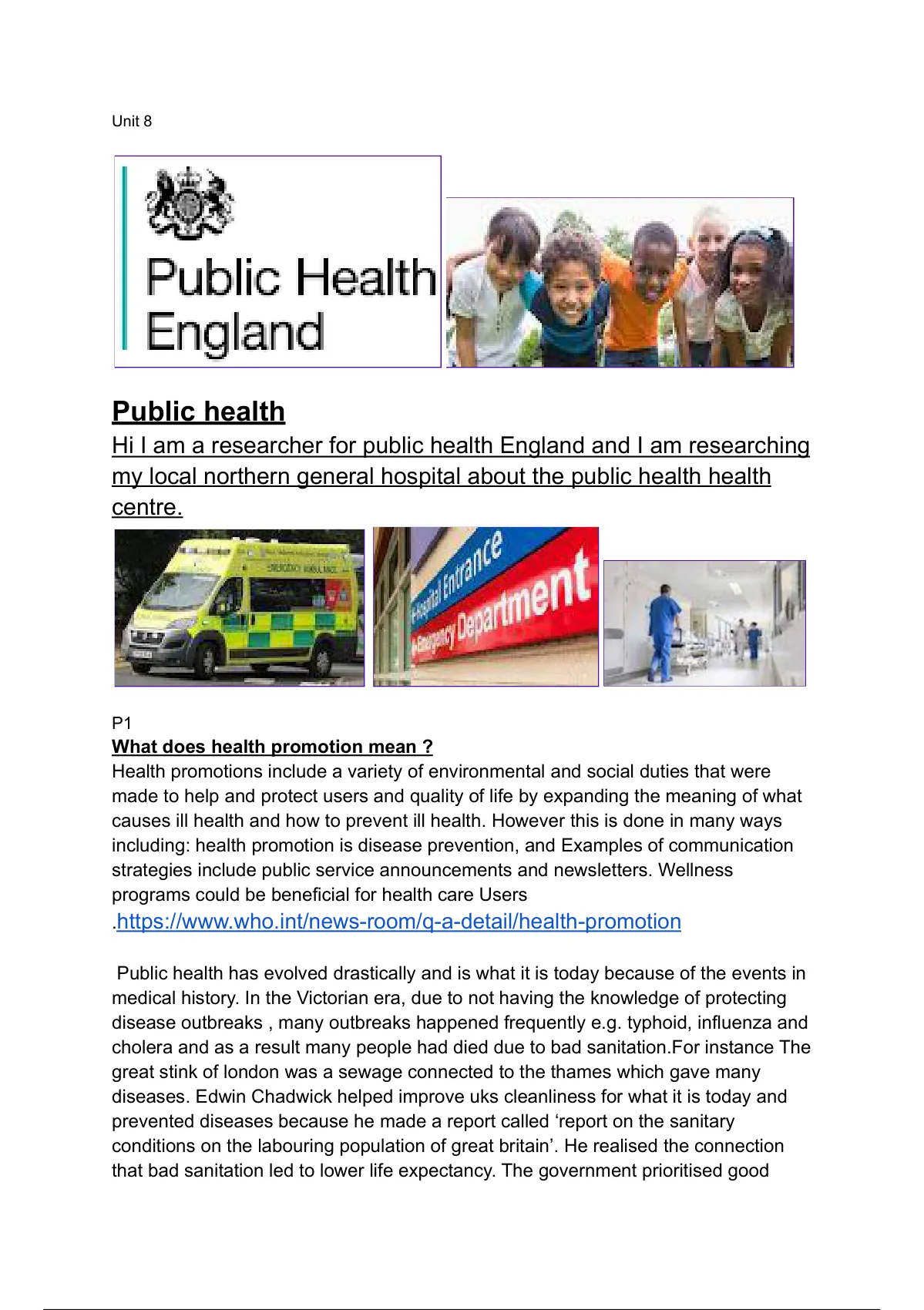 unit 8 promoting public health assignment 1 example