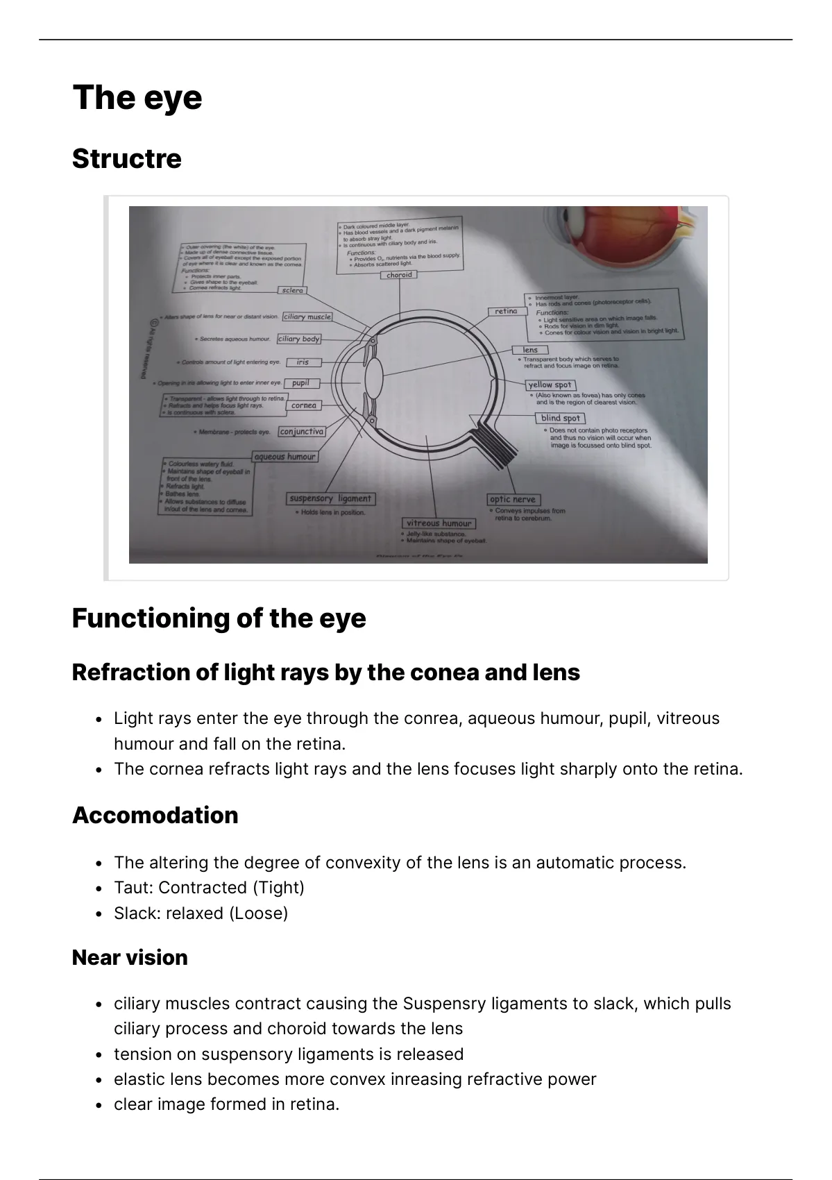 The Eye Grade Summary Life Sciences Stuvia Sa