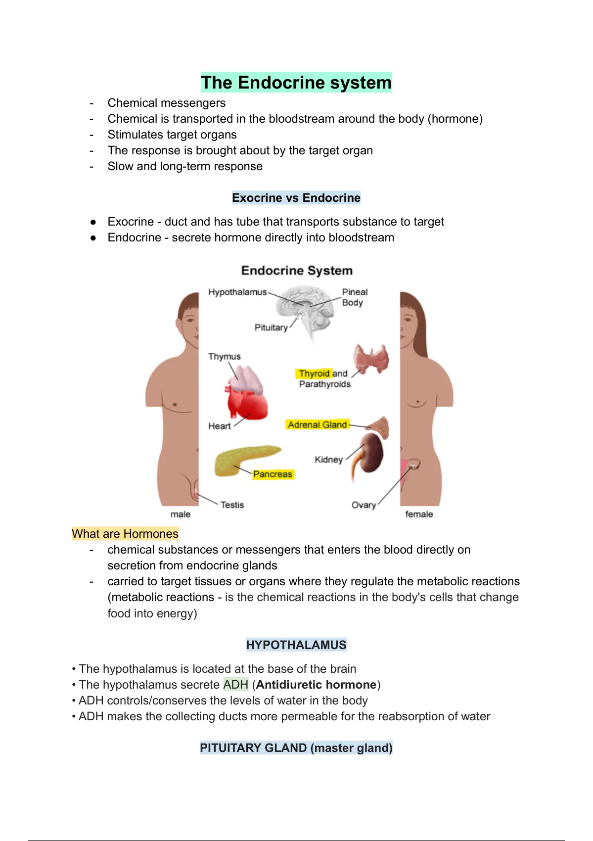 Summary The Endocrine System Grade Biology Life Sciences Stuvia SA