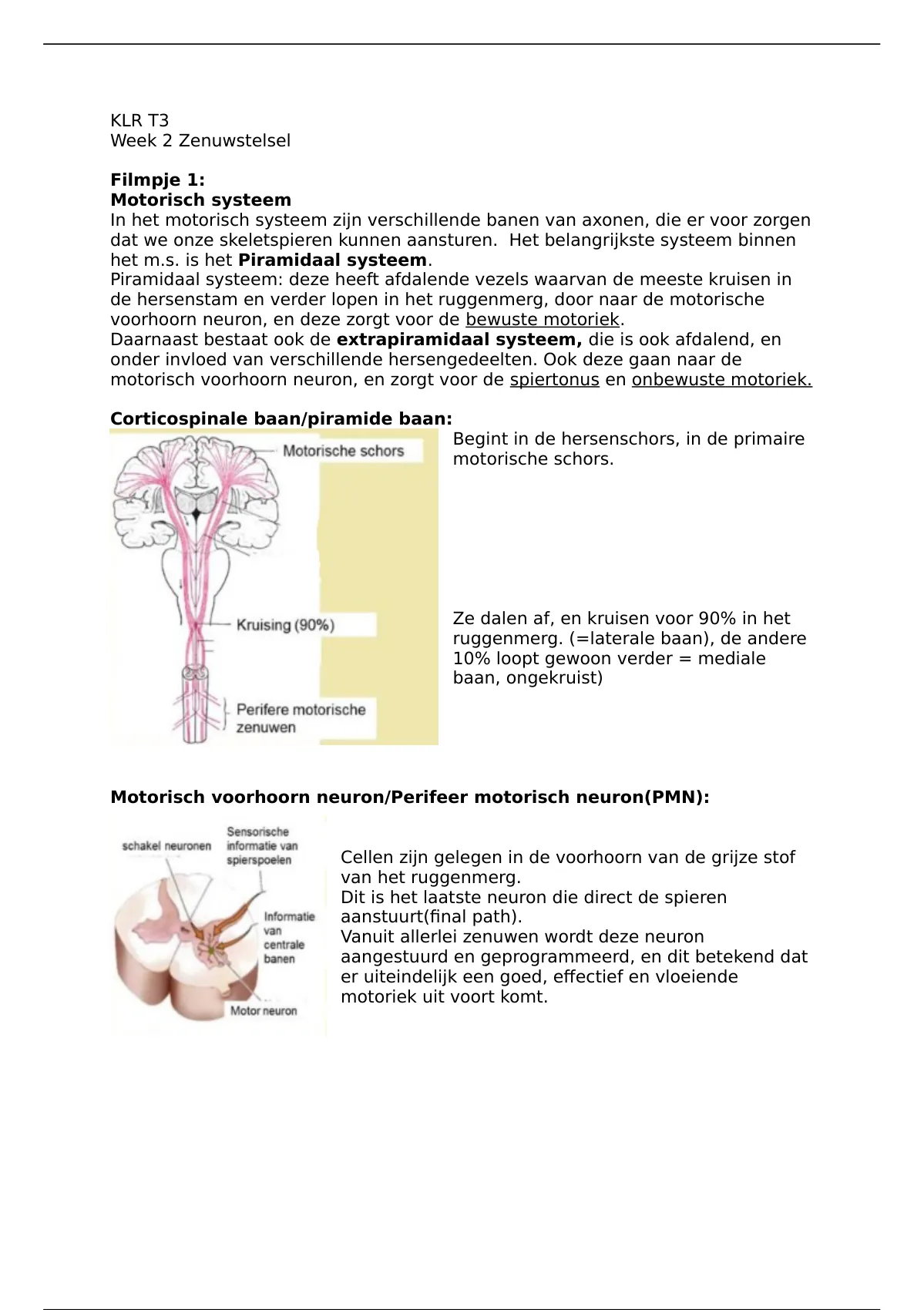 Samenvatting Klinisch Redeneren KLR T3 Neurologisch Systeem Sensibel ...