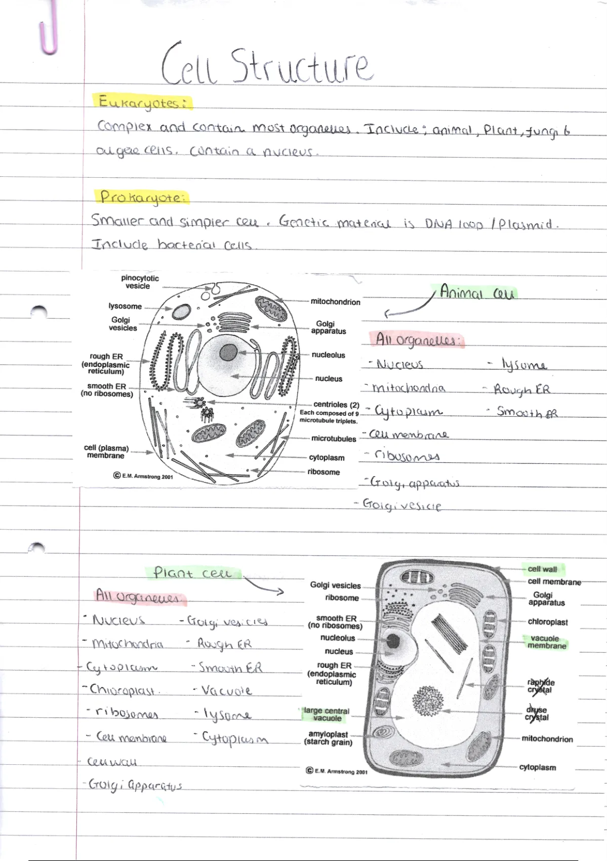 Summary Aqa As Level Biology Notes Cell Structure Part 1 Cell Structure Stuvia Es 3000