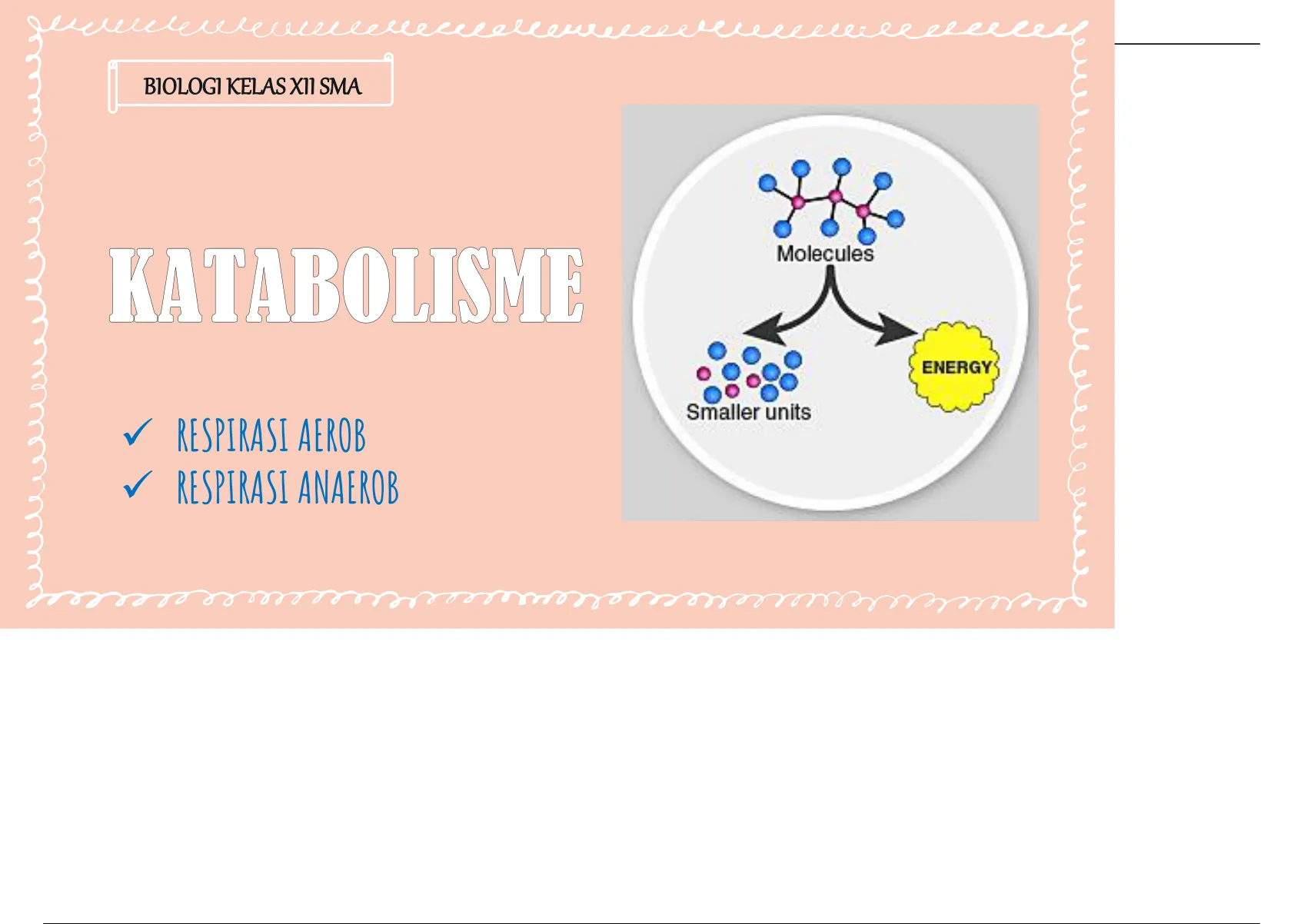 Summary Katabolisme Respirasi Aerob Dan Respirasi Anaerob Biologi