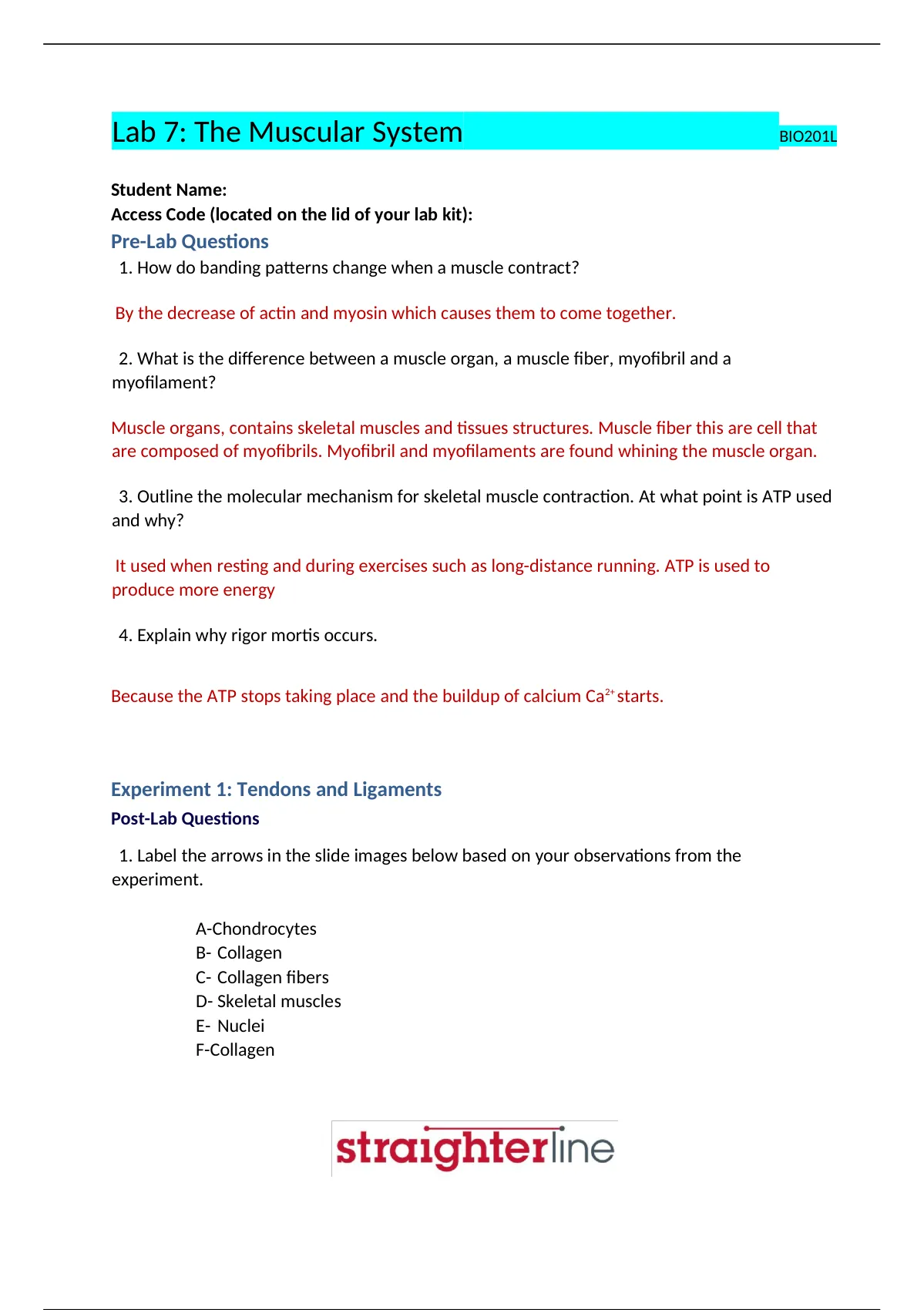 BIO 202L Lab 7 Worksheet- Muscular System - BIO 202L - Stuvia US