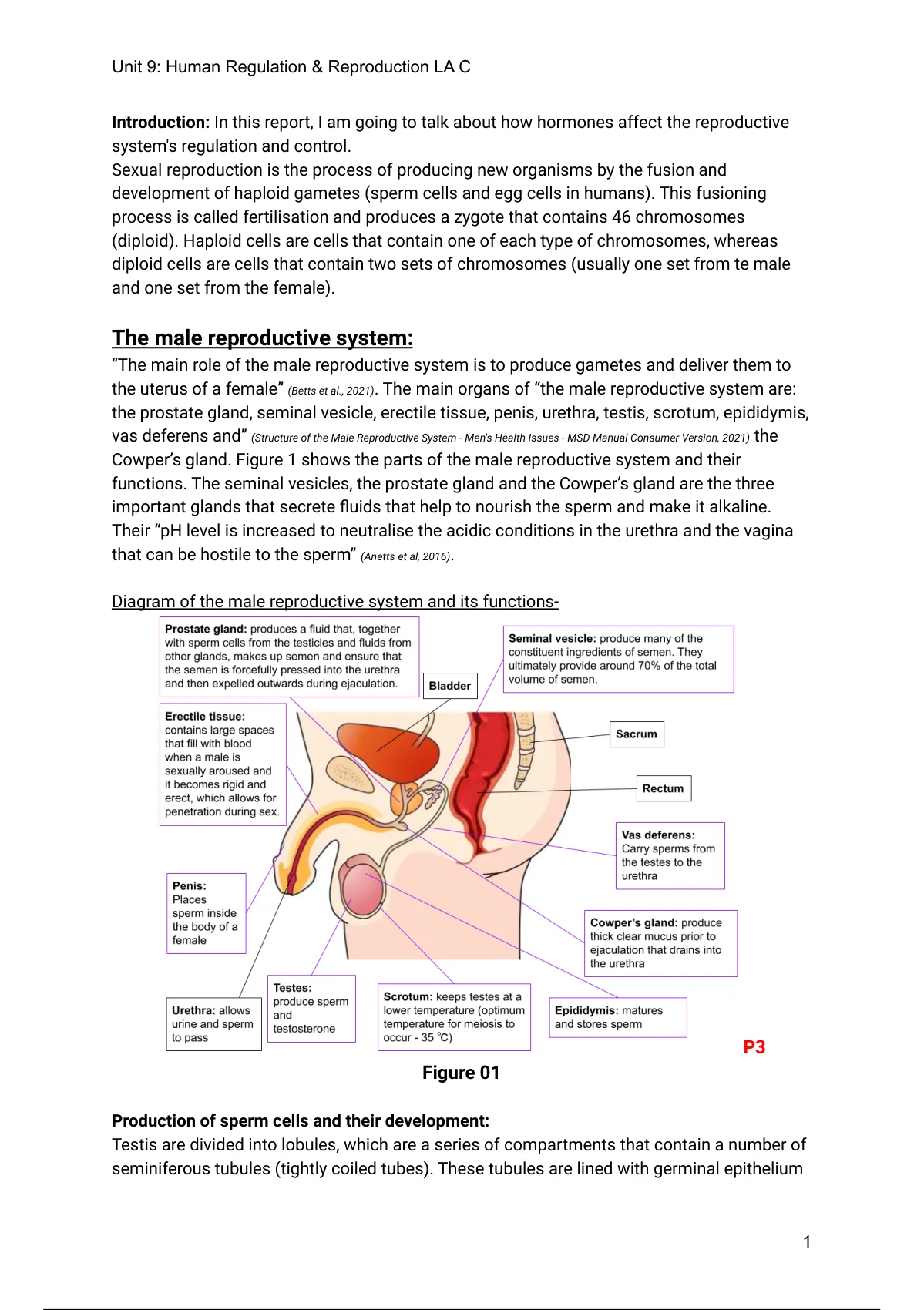 DISTINCTION - BTEC Applied Science Unit 9 LA C Learning aim C ...