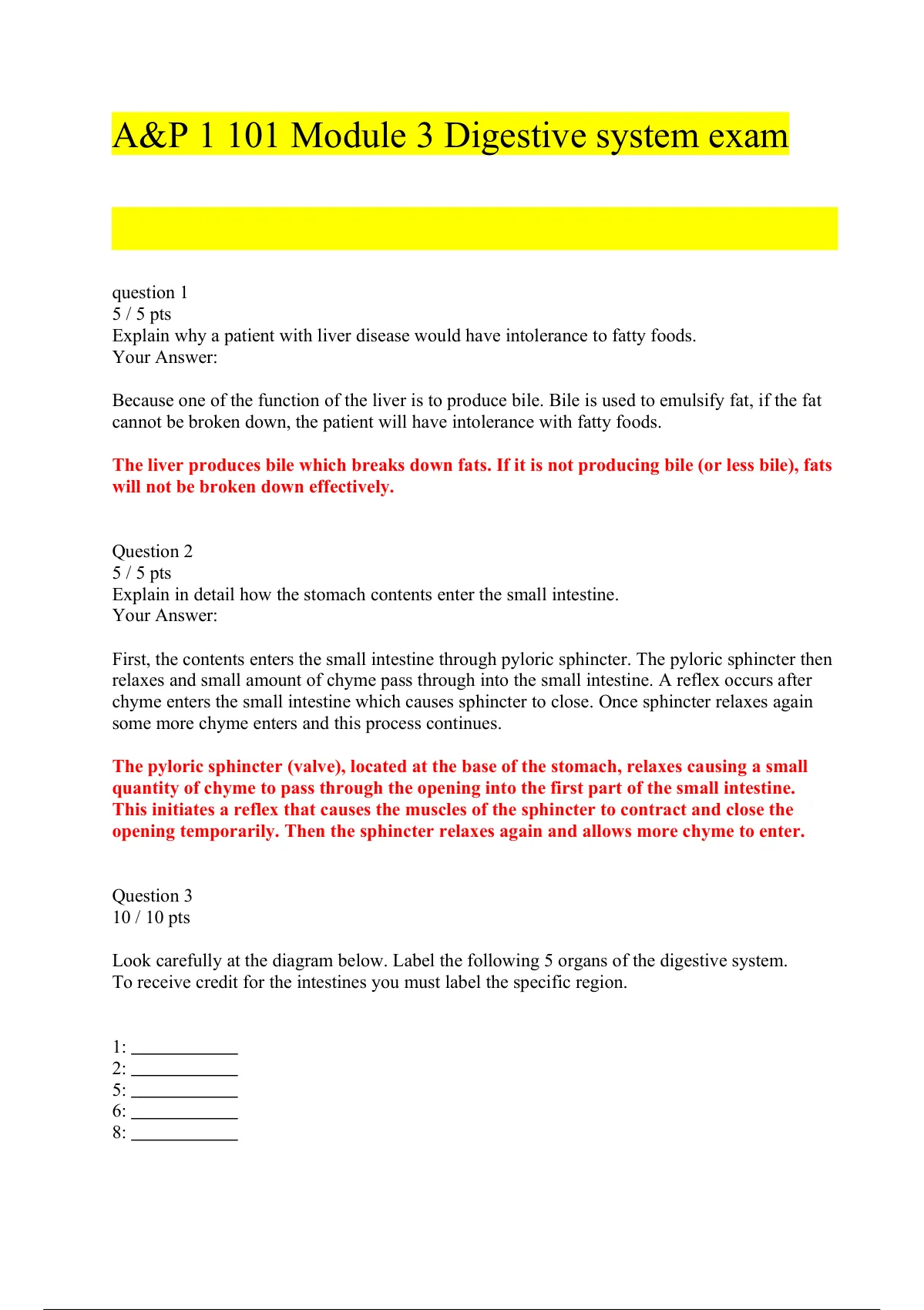 A&P 1 101 Module 3 Exam (RATED A+)Digestive System Test Portage