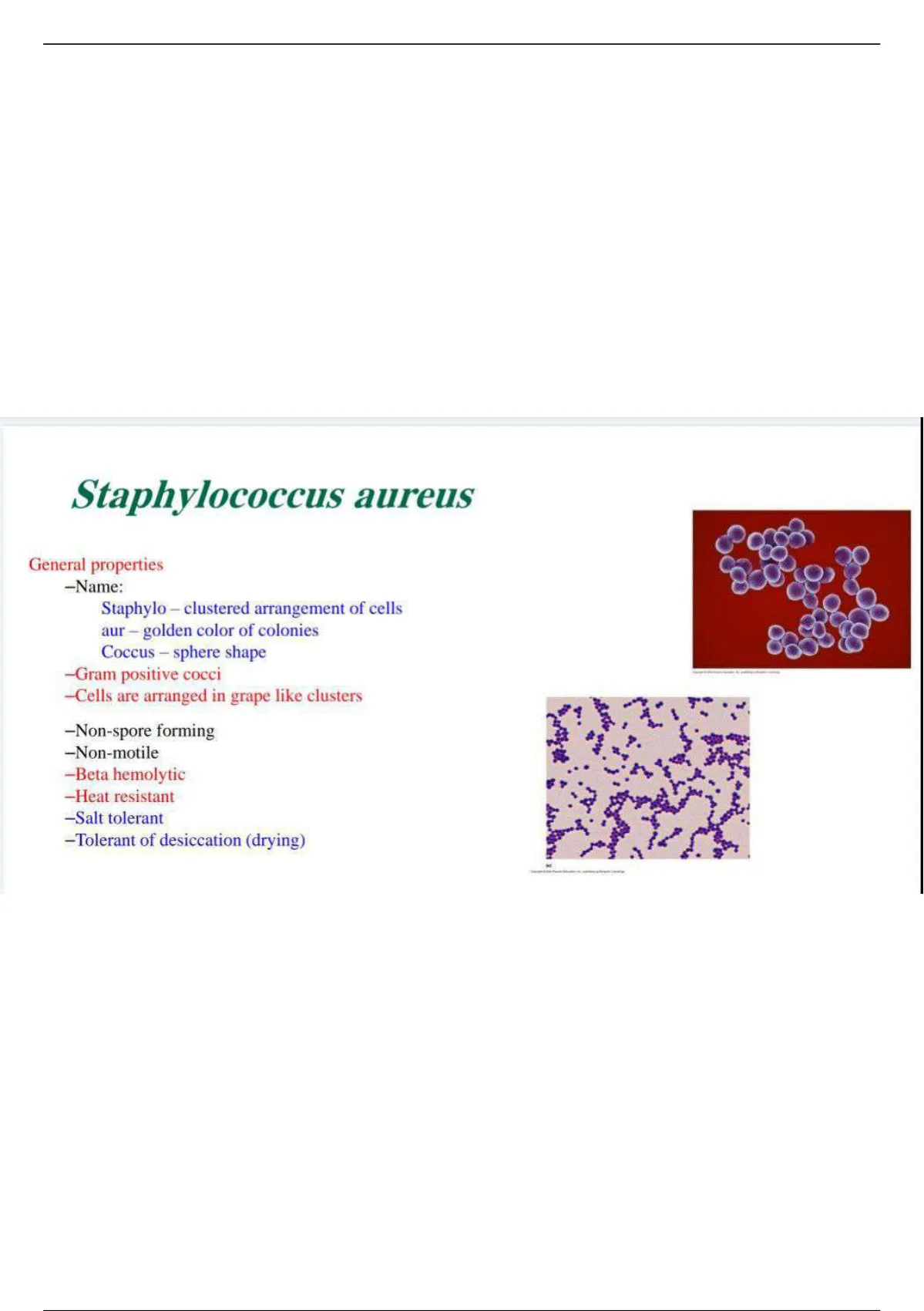 Summary Staphylococcus Aureus Medicine Stuvia Us