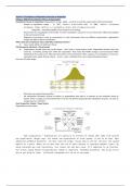 The Adaptive Organisation | Exam Summary and One-pagers