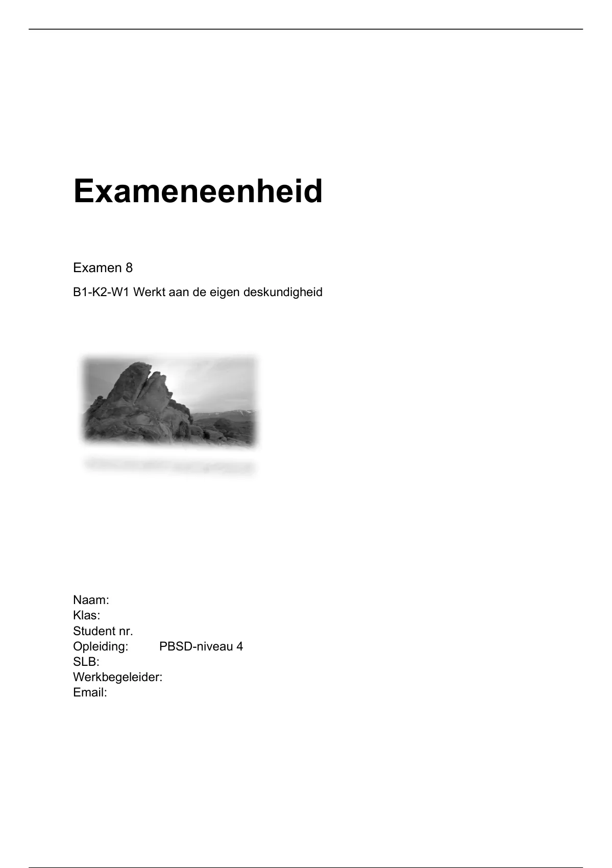 B1-K2-W1 Werkt Aan De Eigen Deskundigheid - Examens (B1K2W1) - Stuvia NL