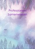 6.1 Verslag Professioneel Samenwerken 