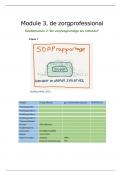 M3DT2 - De verpleegkundige als Rolmodel - Probleemanalyse: SOAP rapporteren op zorgdoelen - EBP, kritische beschouwing en kwaliteit van zorg.