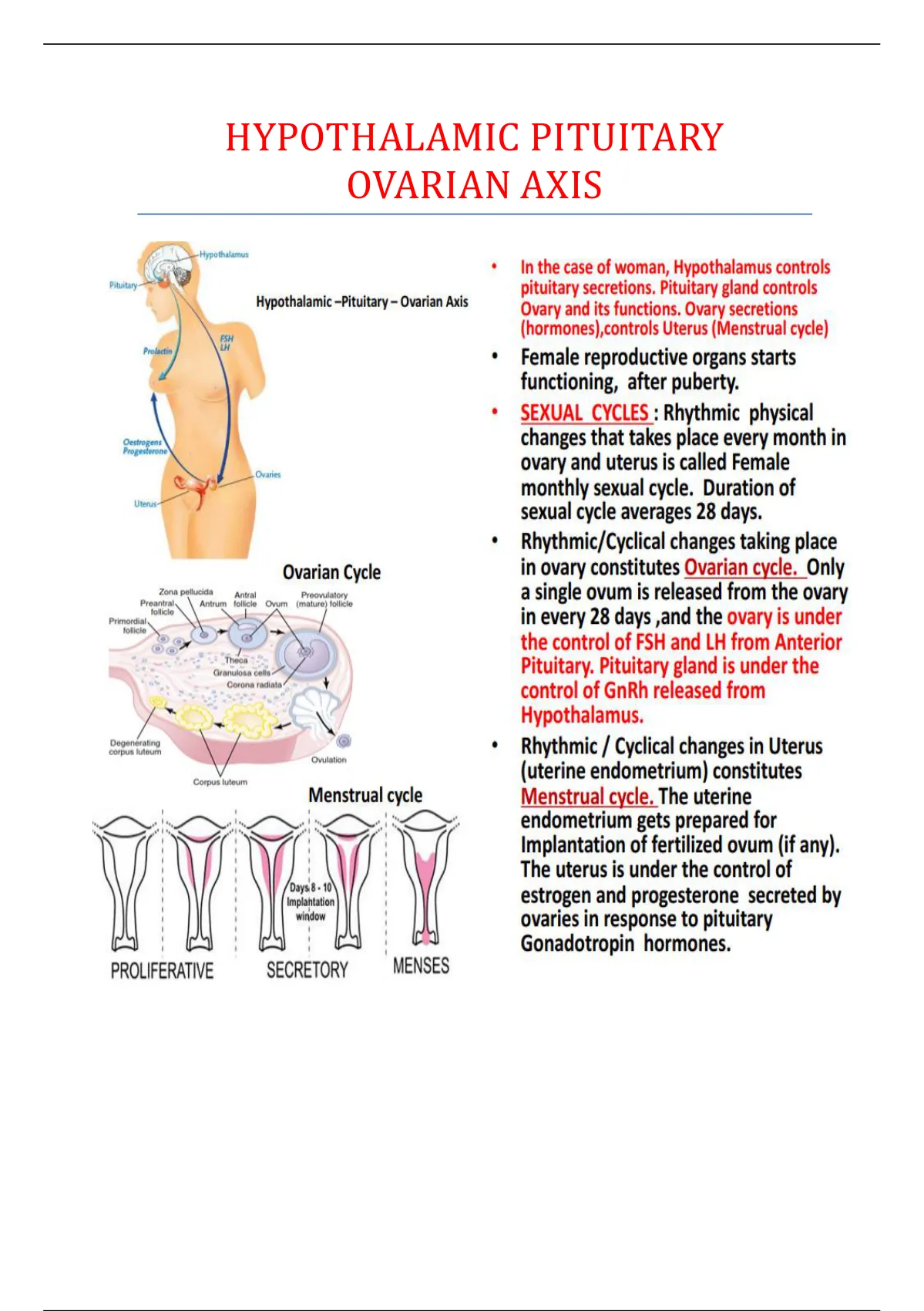 Summary HYPOTHALAMIC PITUITARY OVARIAN AXIS - PHYSIOLOGY - Stuvia US