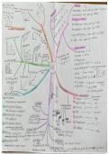 Samenvatting mindmap  Rekenen wiskunde (C-RW4)