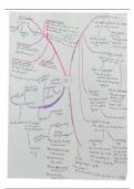 Samenvatting  mindmap Nederlands (C-NED4)