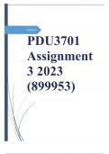 PDU3701 Assignment 3 2023