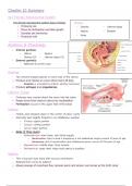 Chapter 10 - The Reproductive Systems Guides