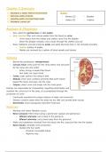Chapter 9 - The Urinary System Guides