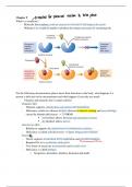 Nutrition Final Exam: study guide 