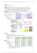 Samenvatting -  Pathology (WBFA024-05)