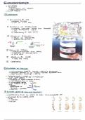 Evolutionsbiologie 12/1 Bayern