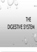 Digestive system