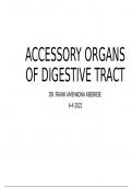 Accessory organs of gastrointestinal tract