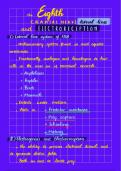 The 8th Cranial Nerve