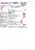 Summary Notes on the Integration of Metabolism