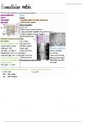 Summary Notes on Extracellular Matrix