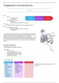 Toegepaste neuroanatomie samenvatting incl TWIO's en casussen