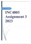 INC4803 Assignment 3 2023