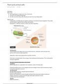 Overview of plant and animal cells