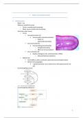 Samenvatting Endocrinologie 