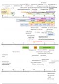 Frise Chronologique Examen Science Po (j'ai été admise!)