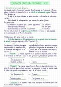 Eliminación inversión - patrimonio neto