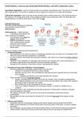 Peripheral Vascular Disease (PVD) - Condition Summary