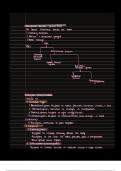 Cranial Nerves 