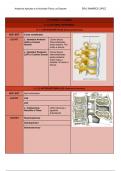 Anatomía del aparato locomotor