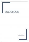 Samenvatting - Sociologie 