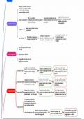 IGCSE/GCSE Business topics 2,3,4,5,6 summary