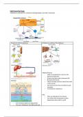 Summaries of multiple cardiovascular topics 