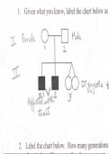 Catalase Pre-Lab